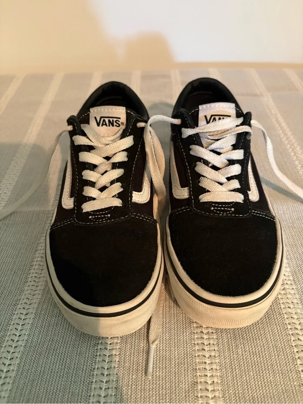 Vans Black & White Low-Top Skate Sneakers